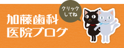 加藤歯科医院ブログ