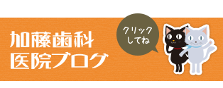 加藤歯科医院ブログ